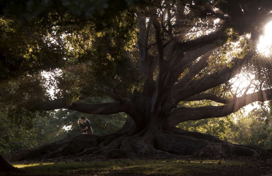 engagement photography in Auckland by Auckland wedding photographer Chris Loufte
