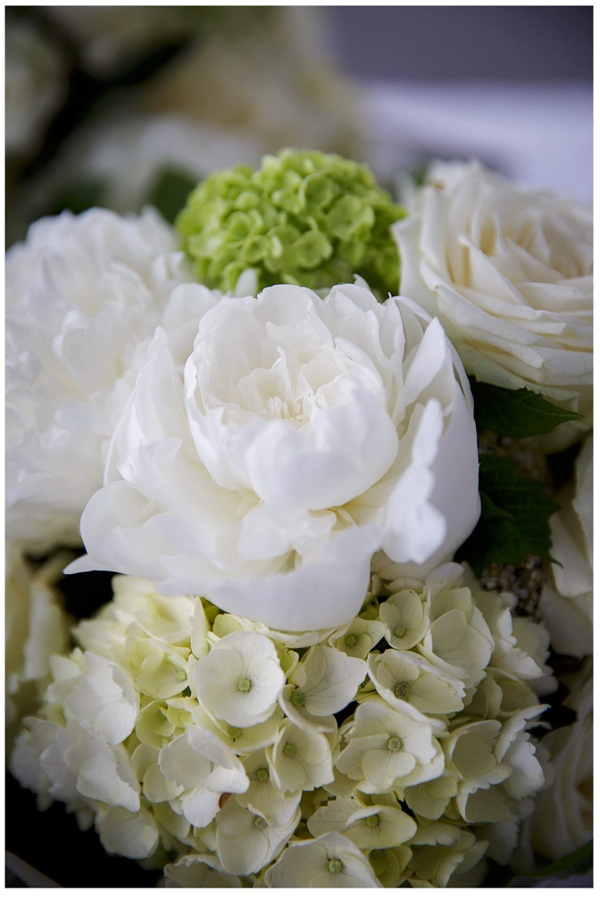 Shiloh & Morgan wedding photos at Villa MAria Auckland