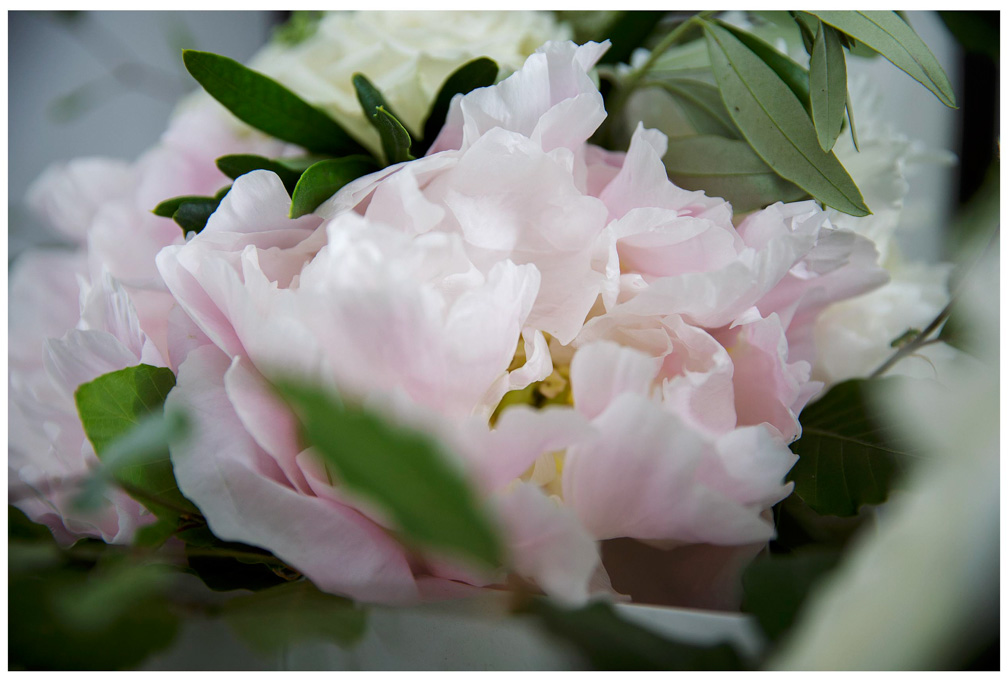 Shiloh & Morgan wedding photos at Villa MAria Auckland