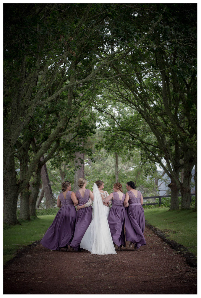 Wedding photo by Chris Loufte at Lavender Hill coatsville Auckland