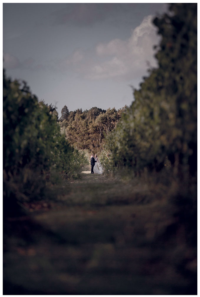 Wedding photo at Villa Maria Auckland by Auckland wedding photographer Chris Loufte
