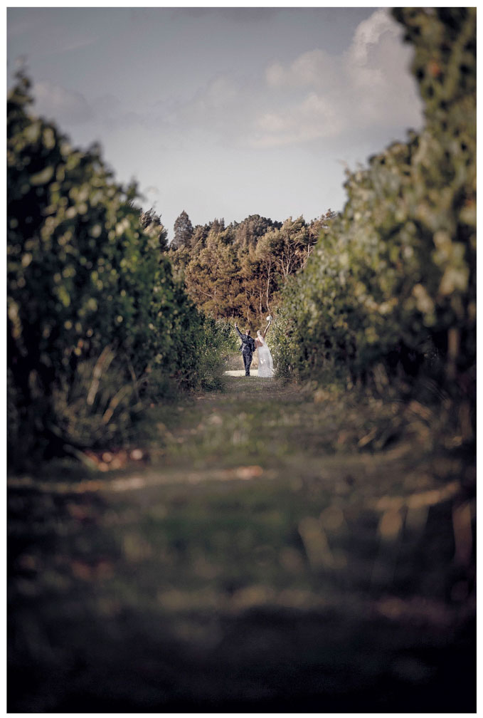 Wedding photo at Villa Maria Auckland by Auckland wedding photographer Chris Loufte