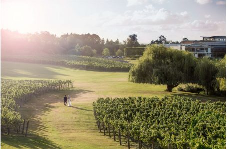 Wedding photo at Villa Maria Auckland by Auckland wedding photographer Chris Loufte