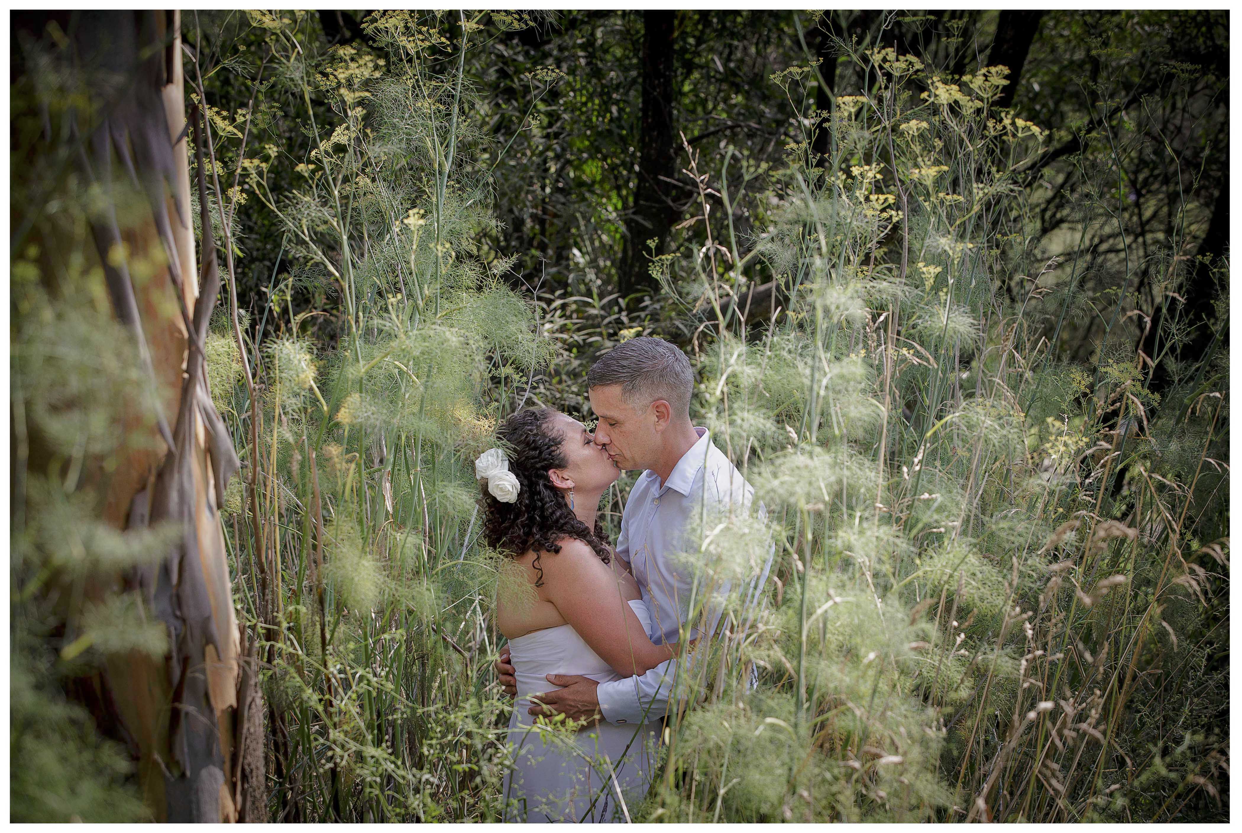 Puhoi wedding photo by Auckland wedding photographer Chris Loufte