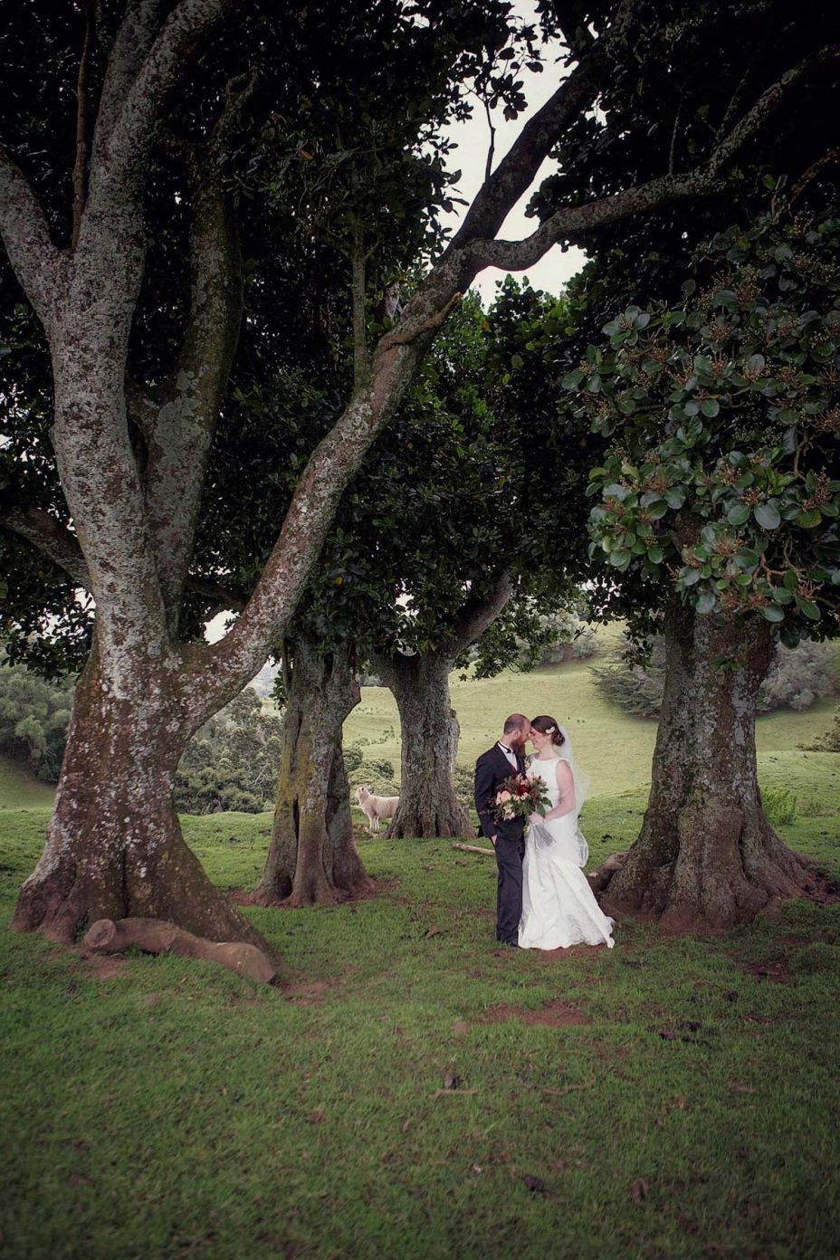 Bride and groom look into each other's eyes smiling for a wedding photo in Cornwall Park Auckland.