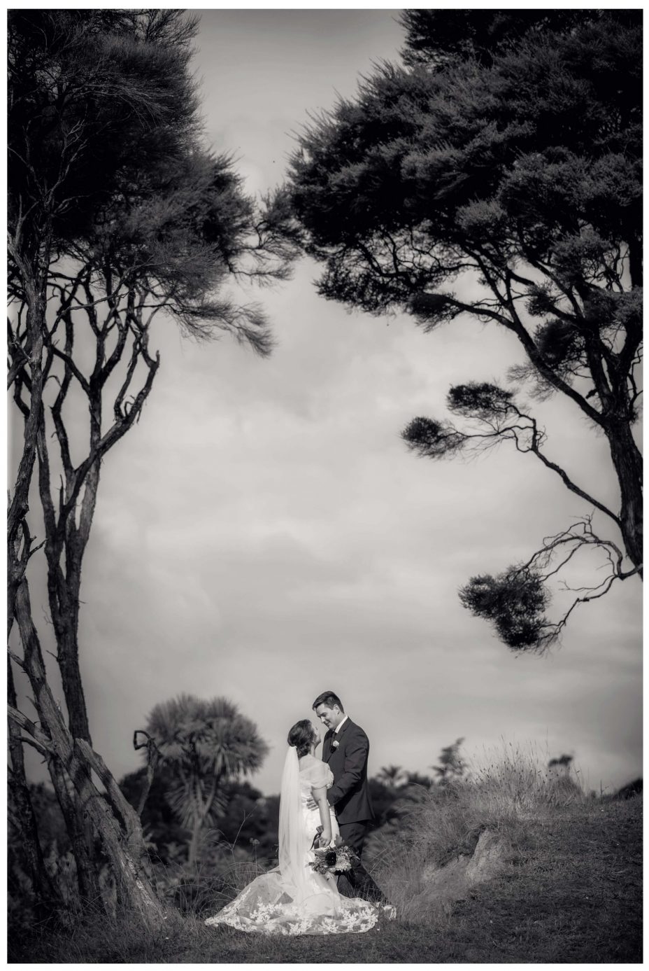 Creative wedding photo of Bride and groom under Manuka trees in Kumeu